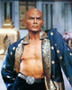 yulbrynner